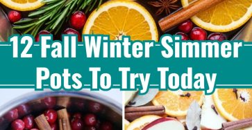 12 Cozy Fall Winter Simmer Pot Recipes for Family
