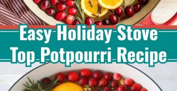 Cozy Holiday Stove Top Potpourri Christmas Gifts Crafting Fun