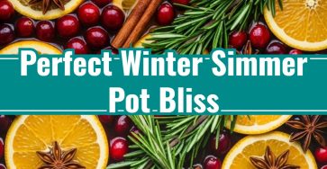 Cozy Winter Cranberry Orange Simmer Pot for Family Homes